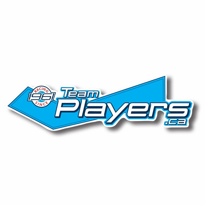 Team Players 3"x6" Die Cut Vinyl Sticker #DECAL-TEAMPLAYERS (88)